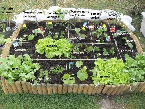 jardin potager