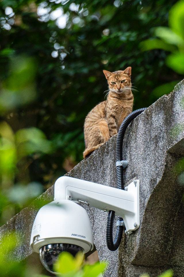 Vidéosurveillance à son domicile : quelle caméra de surveillance ?