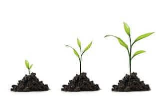 growth hacking